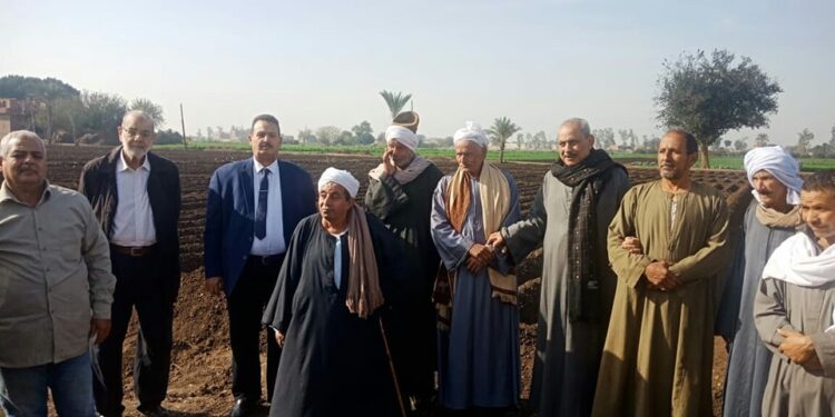 د. محمد يوسف يتابع حالة المحاصيل الشتوية في القليوبية 1 المحاصيل الشتوية