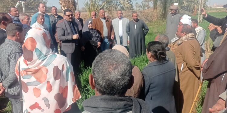 فرق الإرشاد الزراعي الريفي تتابع زراعات القمح بالمنيا 1 الإرشاد الزراعي