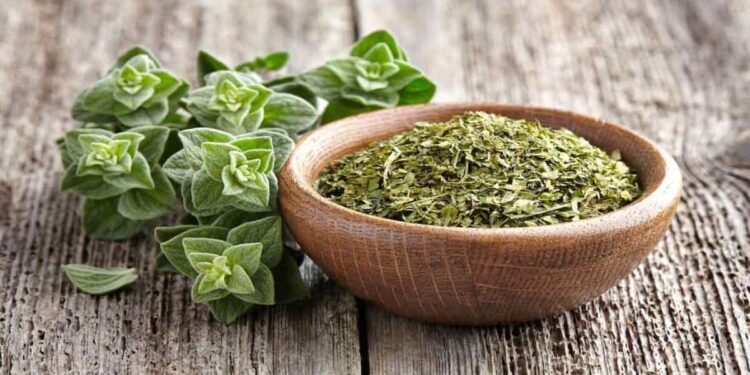 البردقوش.. مكاسب اقتصادية و8 فوائد علاجية  1 البردقوش