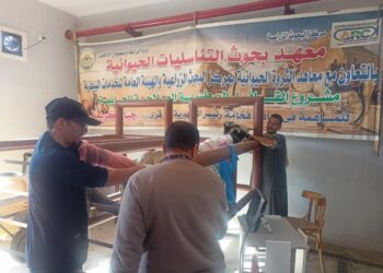 التناسليات الحيوانية