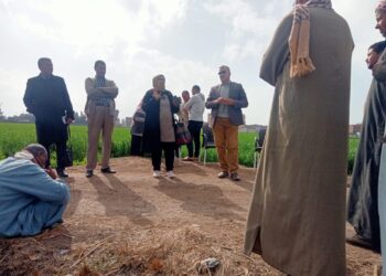 الفريق الإرشادي الريفي