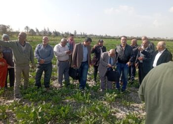 الفرق الإرشادية