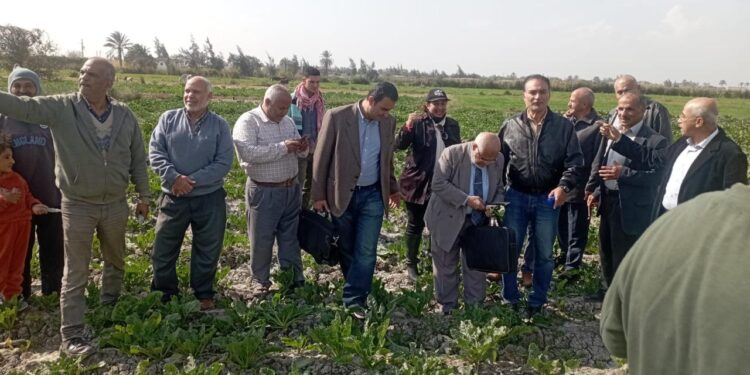 185 خبيرا وباحثا ومرشدا زراعيا يشاركون في الفرق الإرشادية الريفية للمحاصيل الشتوية 1 الفرق الإرشادية