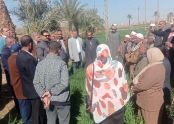 الفرق الإرشادية الريفية