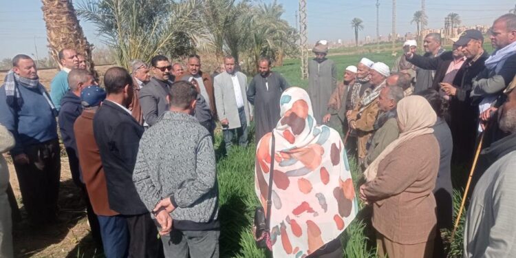 68 باحثا وخبيرا ومرشدا زراعيا يشاركون في الفرق الإرشادية الريفية للمحاصيل الشتوية في 13 محافظة 1 الفرق الإرشادية الريفية