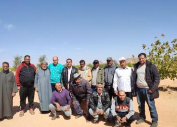 بحوث الصحراء