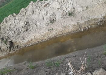 الأراضي الزراعية