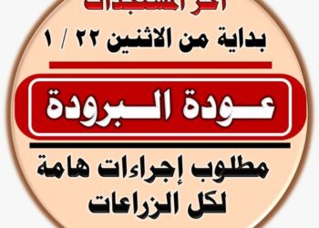 عودة البرودة