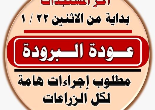 عودة البرودة وتأثيرها على المحاصيل.. د.فهيم يوصي بحزمة إجراءات 1 عودة البرودة