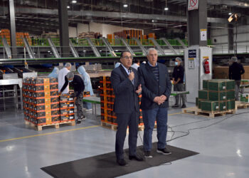 مشروعات الإنتاج الزراعي