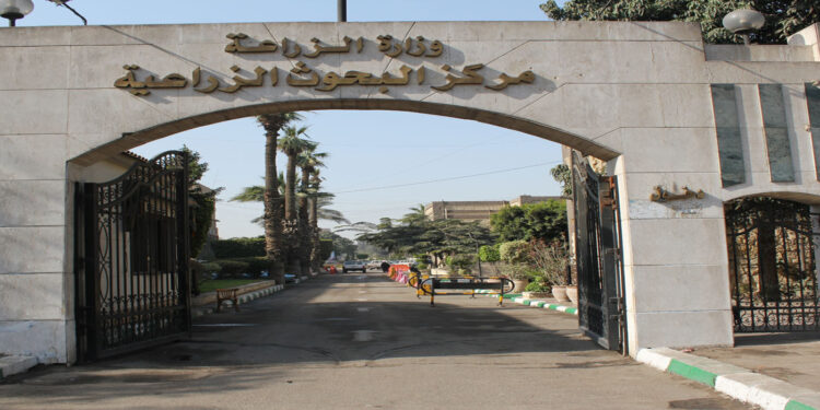 مركز البحوث الزراعية