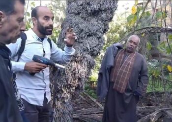 مكافحة الآفات