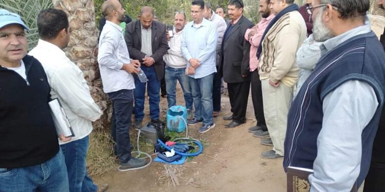 المركزية لمكافحة الآفات تتابع المحاصيل الاستراتيجية الشتوية بجميع محافظات الجمهورية 1 مكافحة الآفات