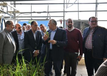 "وزير الزراعة يكلف "البحوث الزراعية" بالتوسع في توعية المزارعين بأهمية التحول لزراعة القصب بالشتلات 1 وزير الزراعة
