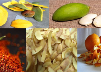 الفاكهة والخضر