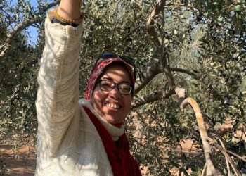 “صفاقس واجهة لسياحة الزيتون” الدورة الخامسة للمهرجان الدولي للزيتونة “