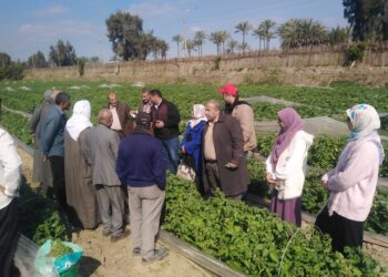 الفرق الإرشادية