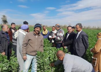 الزراعة: 645 باحثا وخبيرا ومرشدا زراعيا يشاركون في الفرق الإرشادية الريفية للمحاصيل الاستراتيجية والانتاج الحيواني خلال شهر يناير