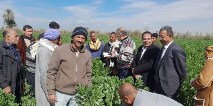 الزراعة: 645 باحثا وخبيرا ومرشدا زراعيا يشاركون في الفرق الإرشادية الريفية للمحاصيل الاستراتيجية والانتاج الحيواني خلال شهر يناير 1 الزراعة: 645 باحثا وخبيرا ومرشدا زراعيا يشاركون في الفرق الإرشادية الريفية للمحاصيل الاستراتيجية والانتاج الحيواني خلال شهر يناير