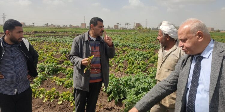 "الزراعة" تتابع زراعات الخضر وتراخيص المشاتل في ٤ محافظات 1 “الزراعة” تتابع زراعات الخضر وتراخيص المشاتل في ٤ محافظات