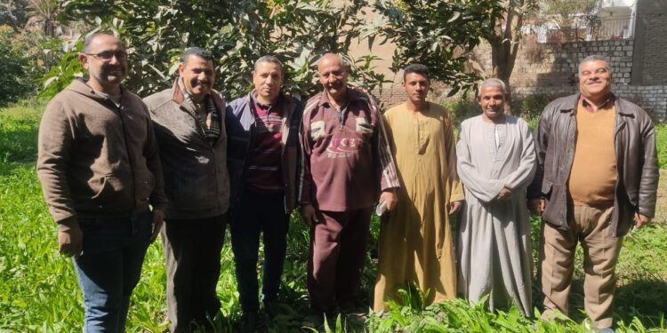 "الزراعة" تتابع أعمال البساتين والمشاتل بمحافظة المنيا 1 “الزراعة” تتابع أعمال البساتين والمشاتل بمحافظة المنيا