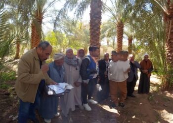 الزراعة: “175” باحثا وخبيرا ومرشدا زراعيا في المحاصيل الاستراتيجية والإنتاج الحيوانى يجوبون محافظات الجمهورية