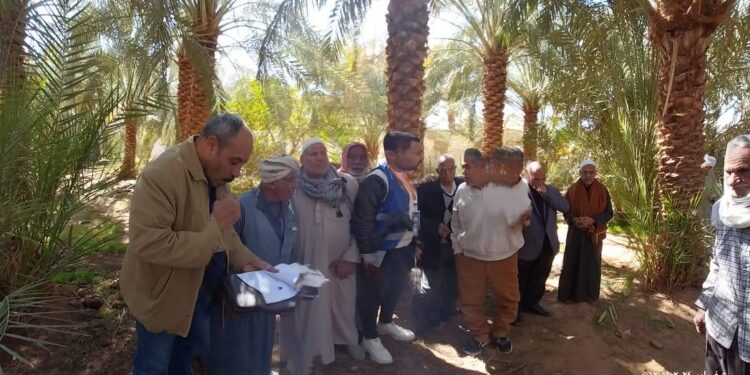 الزراعة: "175" باحثا وخبيرا ومرشدا زراعيا في المحاصيل الاستراتيجية والإنتاج الحيوانى يجوبون محافظات الجمهورية 1 الزراعة: “175” باحثا وخبيرا ومرشدا زراعيا في المحاصيل الاستراتيجية والإنتاج الحيوانى يجوبون محافظات الجمهورية