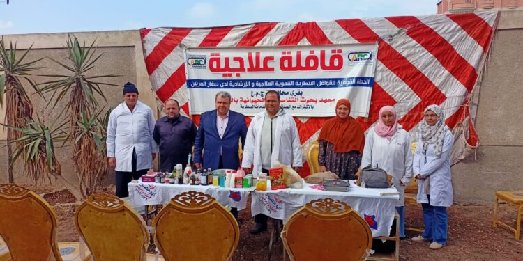 علاج وفحص أكثر من 5900 رأس ماشية مجانا لدي 3029 من صغار المربين بمحافظة القليوبية 1 علاج وفحص أكثر من 5900 رأس ماشية مجانا لدي 3029 من صغار المربين بمحافظة القليوبية