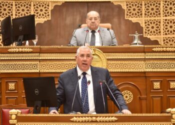 وزير الزراعة: الرؤية الثاقبة للقيادة السياسية مكنت الدولة من توفير الأمن الغذائي