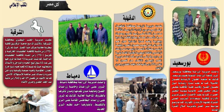انفوجراف وفيديو| تعرف على أنشطة وجهود مديريات الزراعة والطب البيطري خلال أسبوع 1 انفوجراف وفيديو| تعرف على أنشطة وجهود مديريات الزراعة والطب البيطري خلال أسبوع