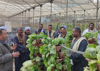 المركزى للمناخ الزراعي ومشروع “سيل” ينظمان دورة تدريبية حول التقنيات الزراعية الحديثة 