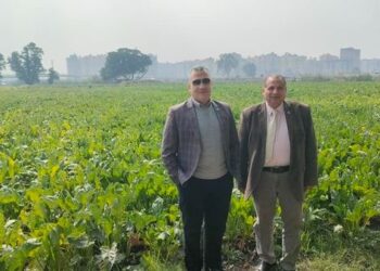 متابعة برنامج تقييم أصناف بنجر السكر بمحافظة كفر الشيخ