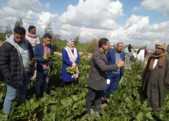 تفاصيل أنشطة الفرق الإرشادية خلال الأسبوع الثاني من فبراير 2024