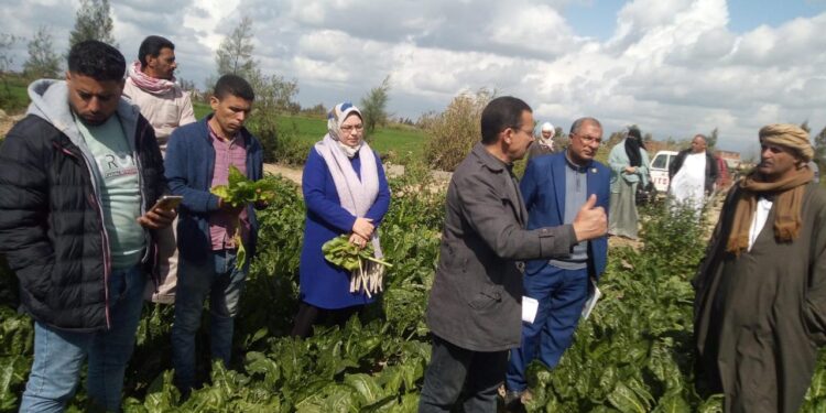 تفاصيل أنشطة الفرق الإرشادية خلال الأسبوع الثاني من فبراير 2024 1 تفاصيل أنشطة الفرق الإرشادية خلال الأسبوع الثاني من فبراير 2024