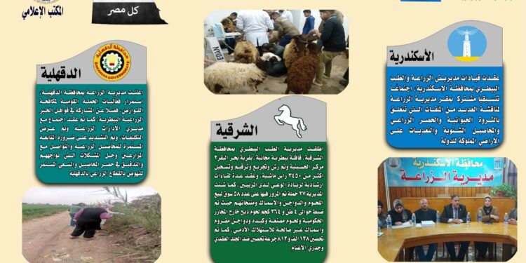 انفوجراف وفيديو| تعرف على أنشطة وجهود مديريات الزراعة والطب البيطري خلال أسبوع 1 انفوجراف وفيديو| تعرف على أنشطة وجهود مديريات الزراعة والطب البيطري خلال أسبوع