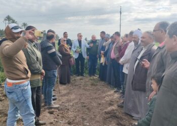 الفريق البحثي الإرشادي بكفر الشيخ يقدم حزمة توصيات لمزارعي الفول