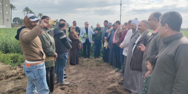 الفريق البحثي الإرشادي بكفر الشيخ يقدم حزمة توصيات لمزارعي الفول