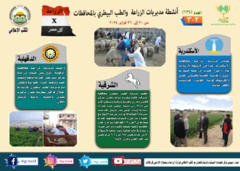 انفوجراف وفيديو| تعرف على أنشطة وجهود مديريات الزراعة والطب البيطري خلال أسبوع
