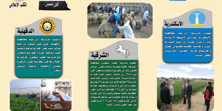 انفوجراف وفيديو| تعرف على أنشطة وجهود مديريات الزراعة والطب البيطري خلال أسبوع 1 انفوجراف وفيديو| تعرف على أنشطة وجهود مديريات الزراعة والطب البيطري خلال أسبوع