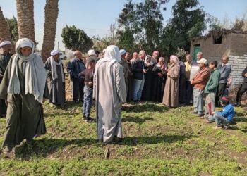 أمراض النباتات