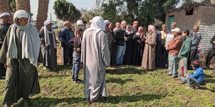 "أمراض النباتات" يستعرض أنشطته البحثية والخدمية والإرشادية والتدريبية خلال شهر يناير 2024 1 أمراض النباتات
