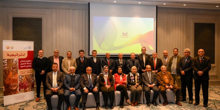 الفاو والزراعة تطلقان استراتيجية تطوير زراعة النخيل وإنتاج التمور بمصر 2024- 2029 1 زراعة النخيل