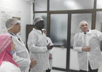 الاتحاد الأفريقي