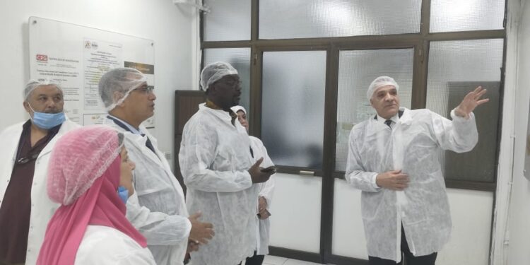 الاتحاد الأفريقي