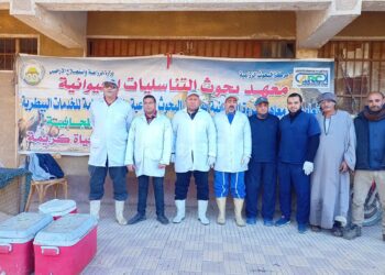 التناسليات الحيوانية