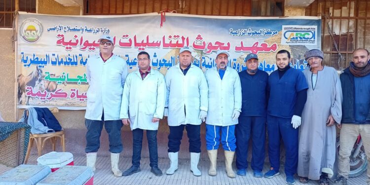 "التناسليات الحيوانية" يطلق قافلة بيطرية مجانية لمحافظة بني سويف 1 التناسليات الحيوانية