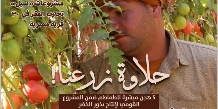 "الزراعة" تصدر العدد الرابع عشر من مجلتها الشهرية «MALR» عدد فبراير ٢٠٢٤ 1 MALR