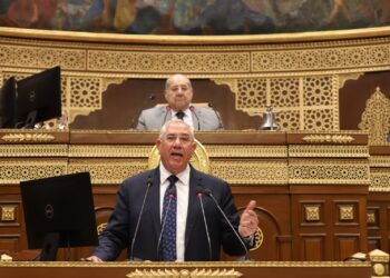 وزير الزراعة يستعرض أمام مجلس الشيوخ إنجازات القطاع خلال العشر سنوات الماضية