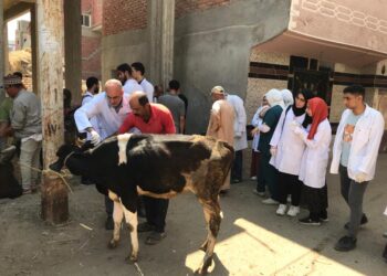 الحمى القلاعية