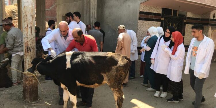 الحمى القلاعية